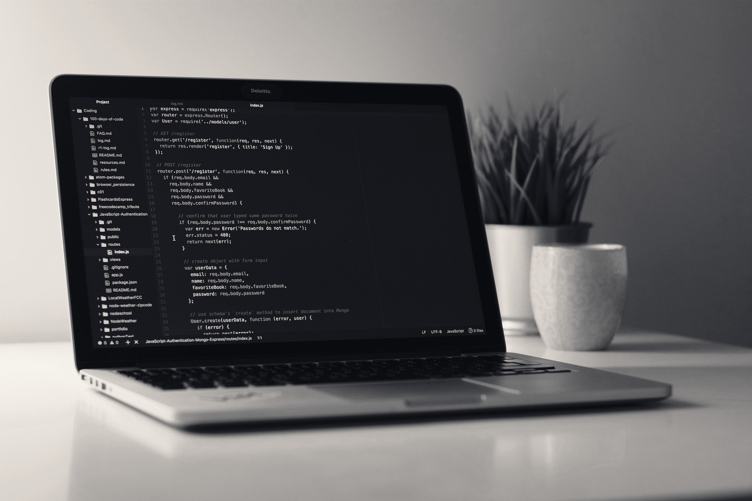 Laptop displaying clean source code on a tidy desk next to a plant